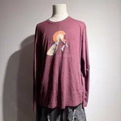 【00s】DUCK CO ロンT 袖プリント ロッキー山脈 XL 赤系 霜降りのサムネイル
