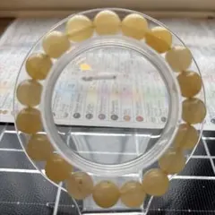 Item thumbnail for item 1089da3b-52c6-4f22-8ca3-1a82ab9fef12