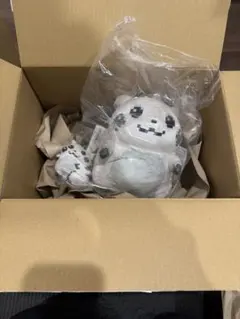 はじまりのピカチュウ ぬいぐるみセット