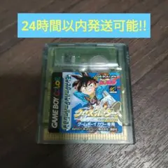 GBカラー クロスハンター
