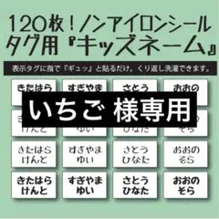 いちご様専用 リピ割 キッズネーム アイロン不要 お名前布シール タグ用☆