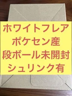 2026年最新】ポケモンセンター シュリンクなしの人気アイテム - メルカリ