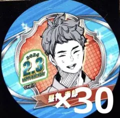バースデイ缶バッジステッカー ハイキュー 2024 菅原孝支 30枚 - メルカリ