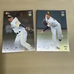 Item thumbnail for item 93226ea0-1267-4f90-a8b1-1cc737ab5c07