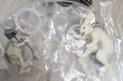 Item thumbnail for item 262bc62a-db50-492c-9082-01e2c48cb1df