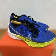 Item thumbnail for item 207f2b8a-cbda-43e2-b690-9cad451863b5