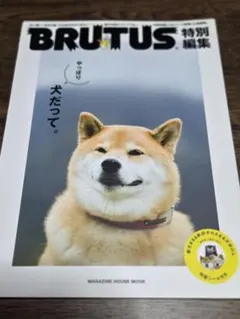 BRUTUS特別編集 やっぱり犬だって。 雑誌