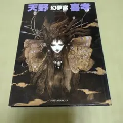 美天 : 天野喜孝画集 初版 - メルカリ