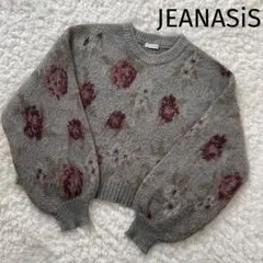 JEANASIS ジーナシス 5Gフラワーラメフェザープルオーバー