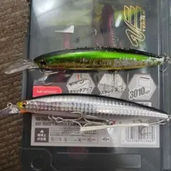 Item thumbnail for item 24fb7300-fe32-4ca3-b9ec-965d5127928d