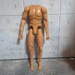 1/6 12インチ 素体 SO262