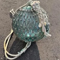 Item thumbnail for item 6ebfea35-23ae-419e-82db-7220b88c24d6