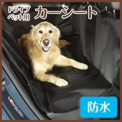 Item thumbnail for item 43938b83-5e02-47ec-a644-ab633e4fa3a4