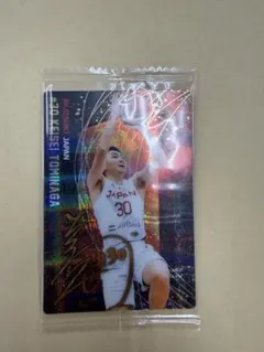 Item thumbnail for item 8fe2a0e2-16be-494b-9448-c5ab8e3aac15