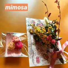 ✴️感謝価格‼️春先取り☆パールアカシア♡ミモザのドライフラワーミニスワッグ
