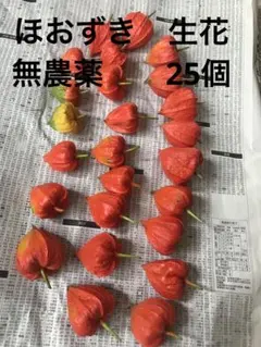 ゲンゲン様 リクエスト 2点 まとめ商品