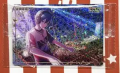 プロジェクトセカイ プロセカ ウエハース6 カード KAITO