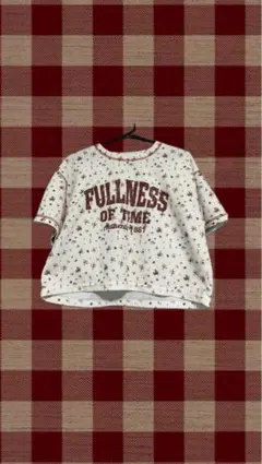 花柄 ショート丈 Tシャツ GORGE F 森ガール ヴィンテージ風プリントのサムネイル