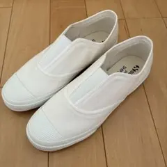 Item thumbnail for item 505f0abe-e788-4042-8624-466719e286ce