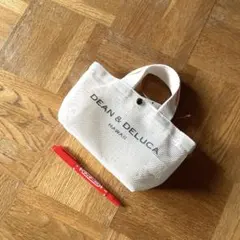 DEAN & DELUCA DDH Mesh Tote Bag XS