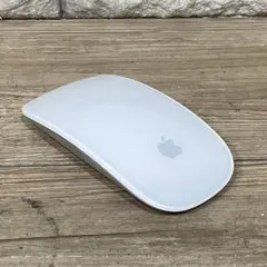 APPLE MAGICMOUSE MB829J/A