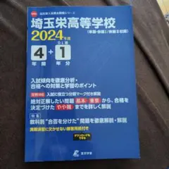 埼玉栄高等学校 2024年度 4年間年分 DL版