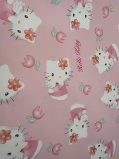 Item thumbnail for item 61ff0a4a-556a-4e27-ba96-4800a645cc48