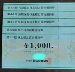 ビックカメラ 株主優待券 5000円分