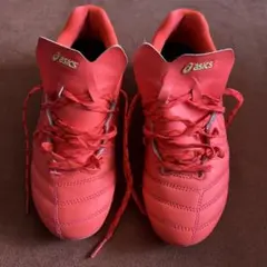 asics DS LIGHT 22.0cm
