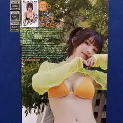 えなこ サイン入りチェキ応募券3枚と図書カード応募用紙2枚