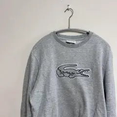 LACOSTE ラコステ　グレー スウェットのサムネイル