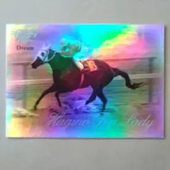 VICTORY 2000，ハギノトップレディ【3点300円】