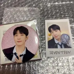 seventeen holiday ペンミ 缶バッジ ウォヌ　缶バッチ　チェキ