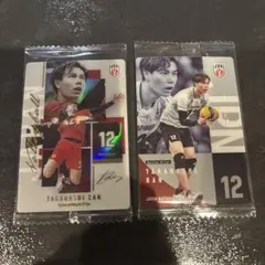 男子バレーボール日本代表 ウエハース　高橋藍