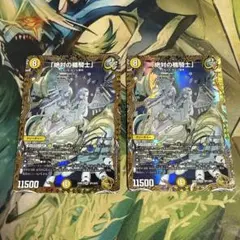 絶対の楯騎士 アブソリュートシールドナイト金トレジャー 4枚セット