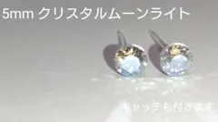 Item thumbnail for item 298dd01c-f839-4070-8ce6-d48c2a7b69db