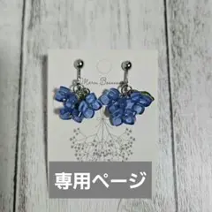 an様専用ページ リクエスト ハンドメイド　ピアス2点