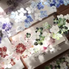 【Yi246s】壹洱 / 繁星花海 贝壳光 pet 1ループ 200cm