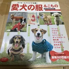 Item thumbnail for item c4a357f9-c88e-4168-a707-8fc24f3bff84