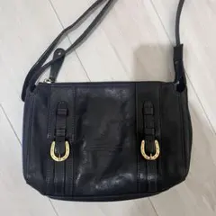 dakota ミニショルダーバッグのサムネイル