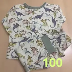 パジャマ　男の子　100 アンパサンド　恐竜