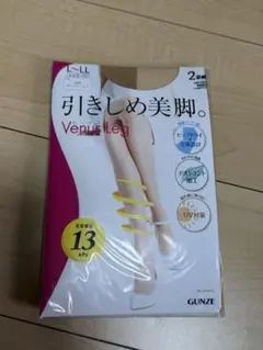 新品GUNZE 引き締め美脚ストッキング　L〜LL 2足 入り ヌードベージュ