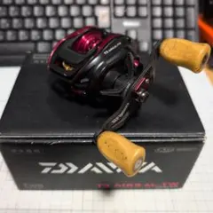 DAIWA T3 AIR 8.6L-TW　フルチューンのサムネイル