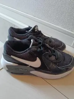 Nike Air Max ブラック/ホワイト スニーカー　20センチ