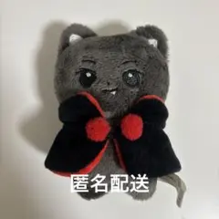 ENHYPEN  JAY ジェイ 20cm ぬいぐるみ ENHYPEN JAY ジェイ 20cm ぬいぐるみ