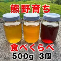 日本蜜蜂　蜂蜜　熊野育ち　食べくらべ【天然・無添加・非加熱】500ｇ 3個のサムネイル