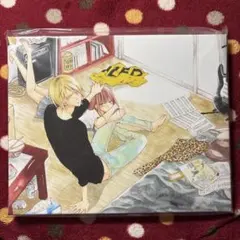 名盤！ 宇宙ネコ子 / 日々のあわ LPレコード - メルカリ