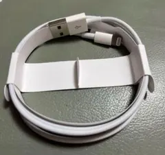 iPhone 正規品　充電器　ケーブル