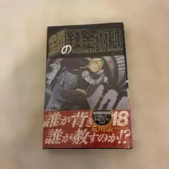 鋼の錬金術師 FULLMETAL ALCHEMIST 13