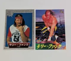 テリー・ファンク プロレスカード 2枚セット